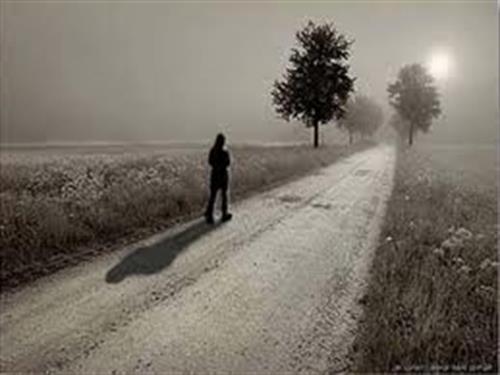 fereshte&nbsp;zamini